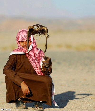 رجل يدرب صقره خلال رحلة صيد في الصحراء في مدينة تبوك