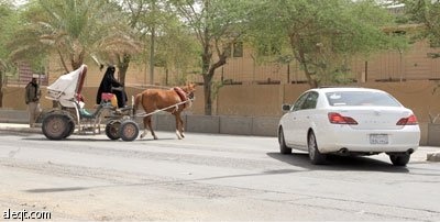 ذاكرة الرياض تستعيد عربات الخيول