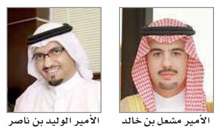 القطاع التجاري