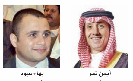 قطاع الاستثمار المتعدد