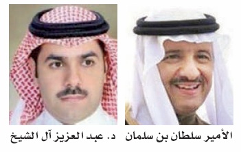 القطاع الحكومي
