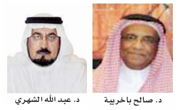 القطاع الحكومي