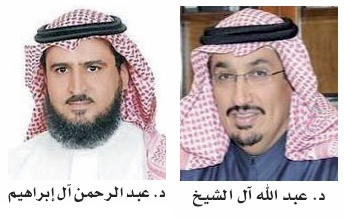 القطاع الحكومي