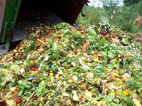 دراسة.. الأمريكيون يرمون بنصف طعامهم إلى مكب النفايات