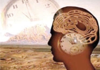 دماغ آينشتاين متوافر عبر تطبيق على الـ «آي باد»