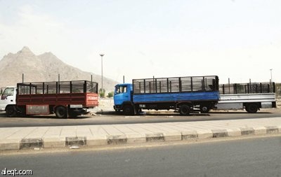 موسم الحج ينشِّط «نقل العفش» تحت سيطرة العمالة المخالفة