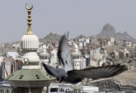 قصة مصورة : المسلمون يؤدون صلاة الجمعة في المسجد الحرام