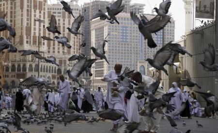 قصة مصورة : المسلمون يؤدون صلاة الجمعة في المسجد الحرام