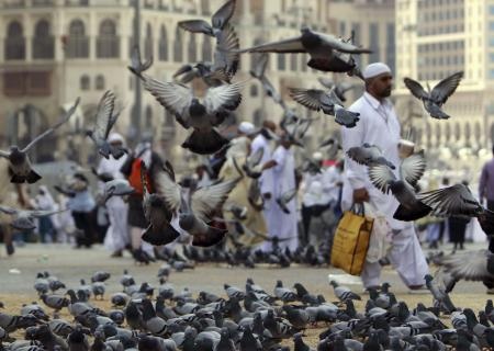 قصة مصورة : المسلمون يؤدون صلاة الجمعة في المسجد الحرام