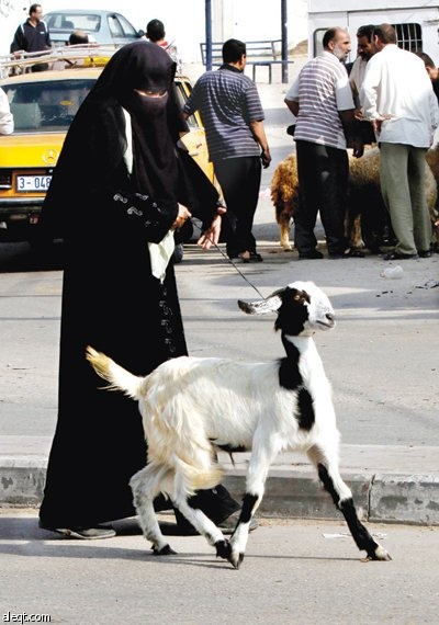 امرأة فلسطينية تجر ماعز في سوق المواشي في مخيم النصيرات وسط قطاع غزة