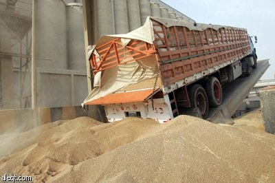 قصة مصورة : خط سير انتاج الدقيق في صوامع الغلال