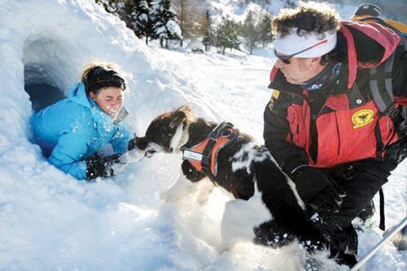 حاسة الكلاب تنقذ ضحايا الانهيارات الثلجية