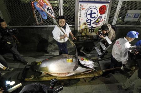 قصة مصورة: بيع سمكة تونة بـ 1.7 مليون دولار في سوق السمك في اليابان