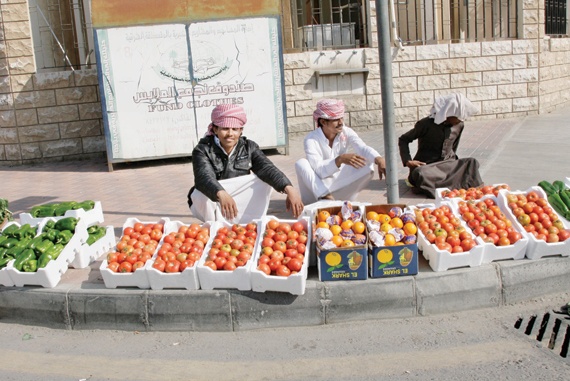 شهدت أسعار الطماطم انخفاضا ملحوظا خلال الأيام الماضية