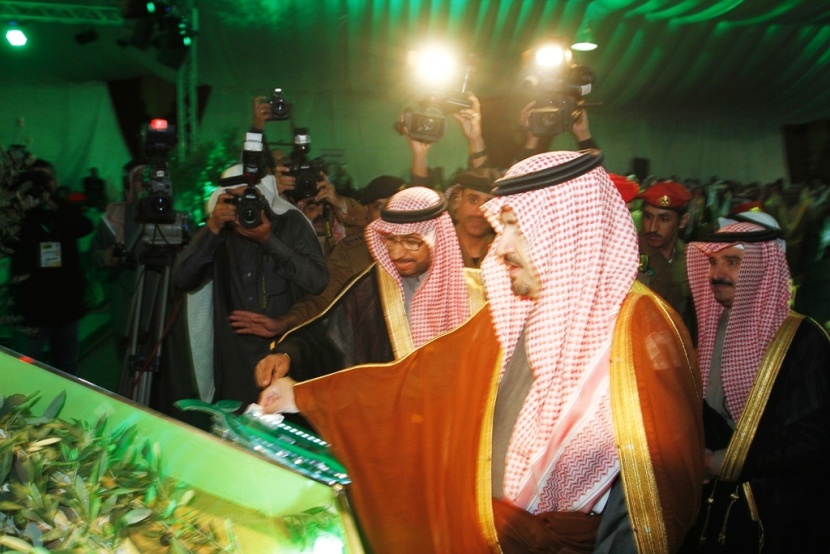 قصة مصورة: مهرجان الزيتون في الجوف