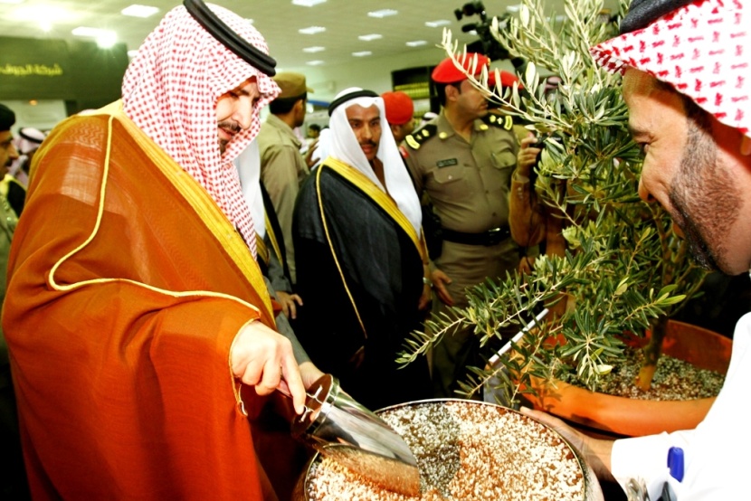 قصة مصورة: مهرجان الزيتون في الجوف