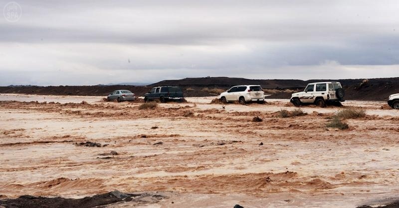 قصة مصورة .. استمرار تعليق الدراسة في تبوك.. والدفاع المدني ينقذ 23 شخصا