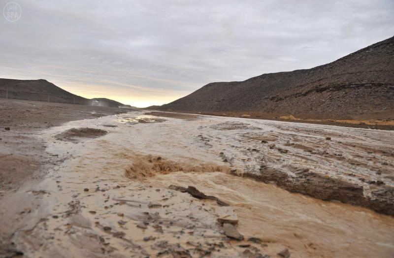 قصة مصورة: أمطار تبوك تغرق  الأحياء السكنية