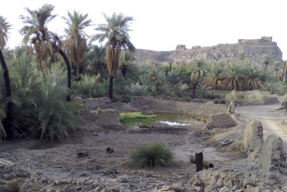 خيبر .. أرض تعطرت بأنفاس النبوة واغتسلت بدماء الشهداء