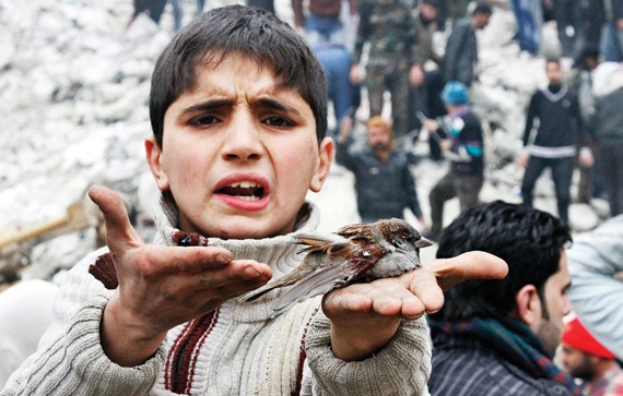 ناس وناس: طفل سوري يحمل طيرا جريحا في حي الأنصاري في حلب وهو يقول حتى الطيور لم تسلم من قصف الجيش النظامي
