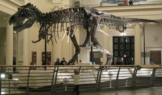 دراسة : سقوط كويكب على الأرض سبب إنقراض الديناصورات