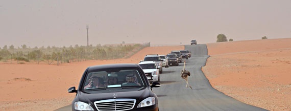 الملك : توسعة المسجد النبوي فيها خير وبركة لحجاج وزوار بيت الله الحرام وللشعب السعودي