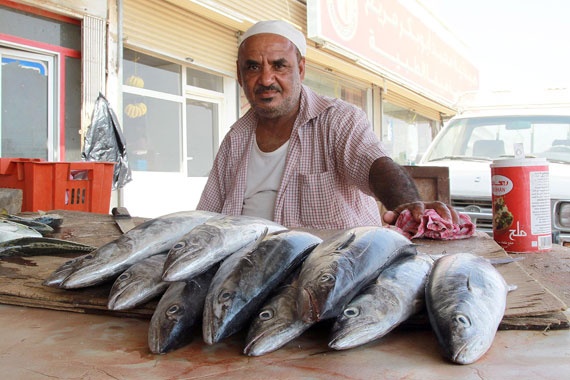 قصة مصورة : رحلة بين جازان وأبها