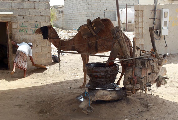 قصة مصورة : رحلة بين جازان وأبها
