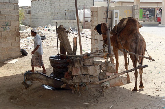 قصة مصورة : رحلة بين جازان وأبها
