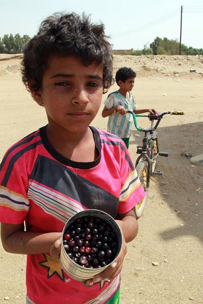 قصة مصورة : رحلة بين جازان وأبها