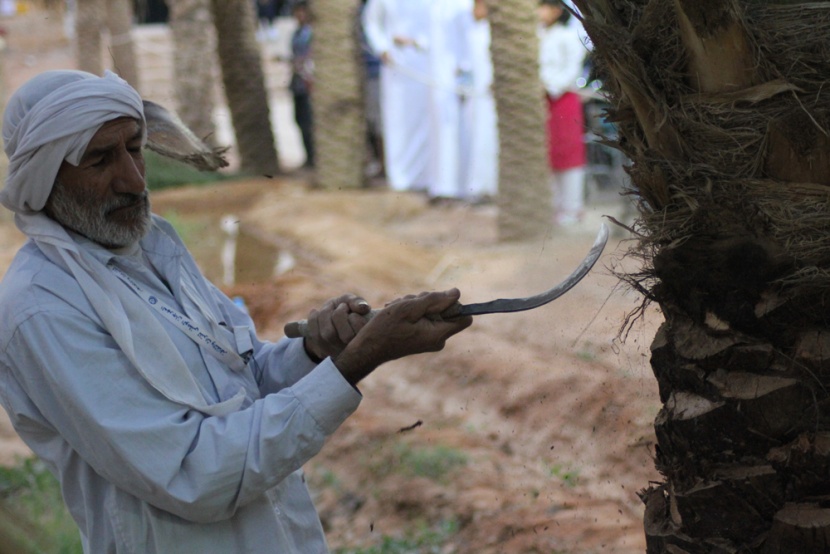 قصة مصورة : أجواء التراث في الجنادرية تتلبد بالغبار وتنتعش بالمطر
