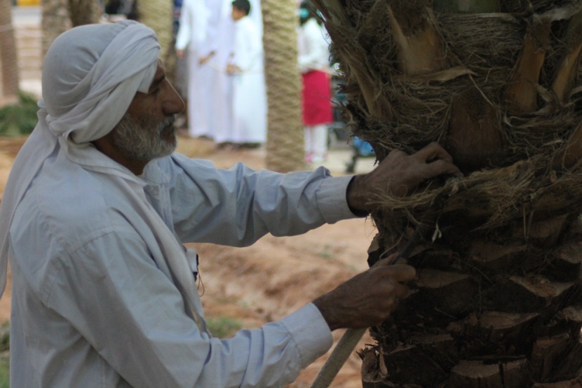 قصة مصورة : أجواء التراث في الجنادرية تتلبد بالغبار وتنتعش بالمطر