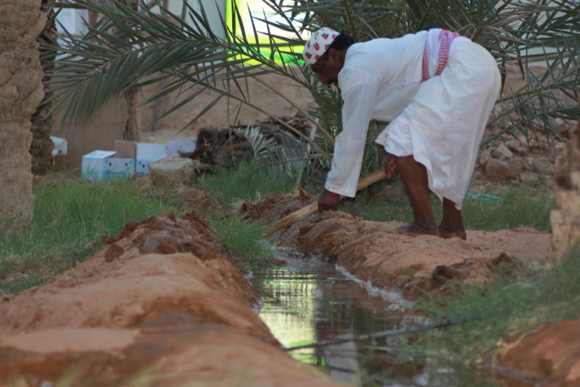 قصة مصورة : أجواء التراث في الجنادرية تتلبد بالغبار وتنتعش بالمطر
