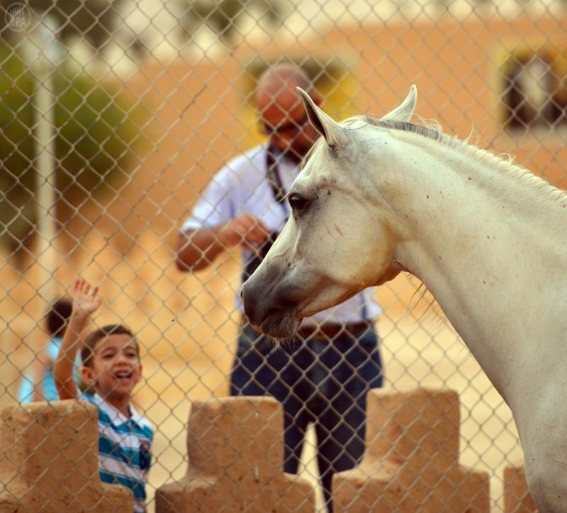 جمال الخيل العربية يستهوي مرتادي الجنادرية