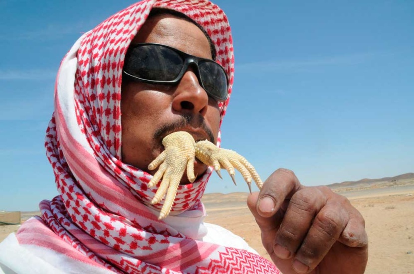 قصة مصورة: شبان يطاردون  الضبان في صحراء تبوك
