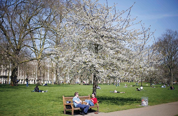 زوجان يجلسان أمس تحت شجرة في يوم ربيعي دافئ في متنزه «إس تي جيمس» وسط لندن.