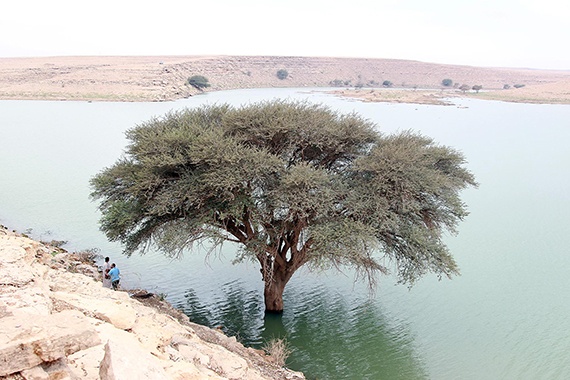 قصة مصورة : أمطار الرياض تغري الأهالي للخروج للسدود والشعاب