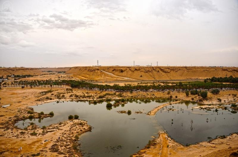 قصة مصورة : أمطار الخير تتواصل على  معظم مناطق المملكة