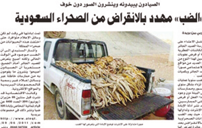 تفاعلات أون لاين