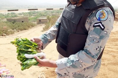 قصة مصورة : حرس الحدود في جازان العين الساهرة لحماية الوطن (2) .. تصوير : خالد الخميس