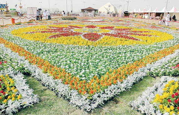 تقطير الورد.. الاقتراب بين «أسبرطة» و«الطائف»