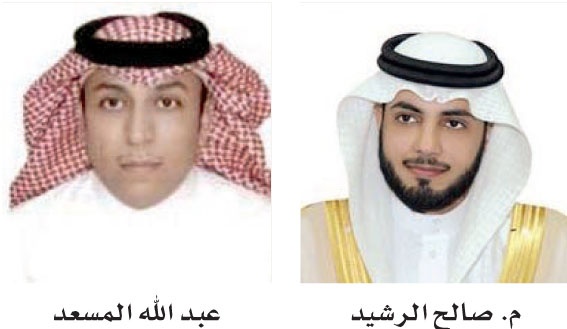 القطاع العام