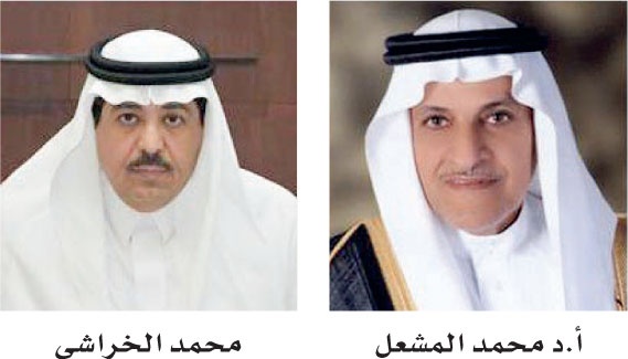القطاع العام