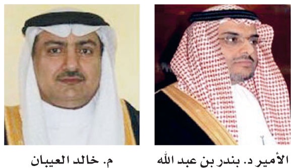 القطاع العام