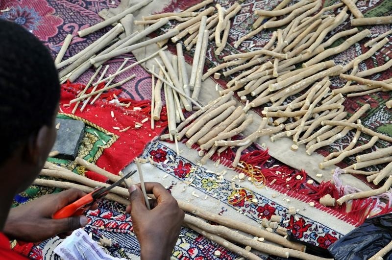 قصة مصورة: المسواك فرشاة طبيعية تستخرج من بطون الأودية وسفوح الجبال الاستوائية
