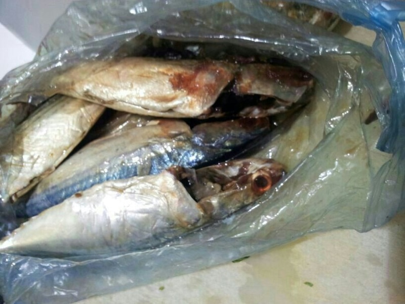 أمانة الرياض تستبعد 176 عاملاً مخالفاً عن العمل