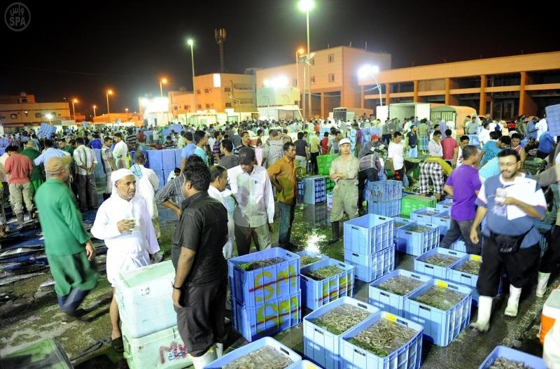 الشرقية تستقبل باكورة موسم صيد الربيان