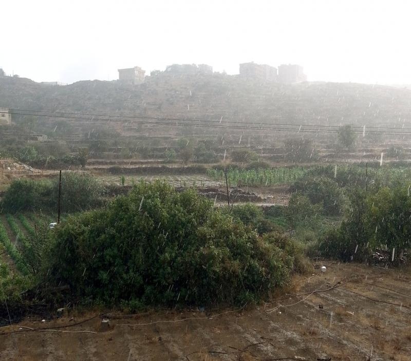 أمطار على منطقة الباحة