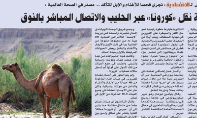 تفاعلات أون لاين