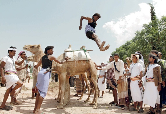 شاب يمني يقفز فوق بعيرين خلال افتتاح مهرجان صنعاء الصيفي